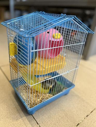 heyvanlar ucun mallar: Cunqarik üçün tam dəst qəfəs

Cunqarikler qefesle birlikde verilir — 2