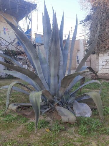 Razilawma yolu ile — 1