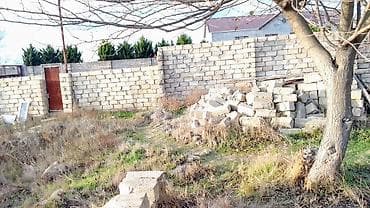 15 sot, Biznes üçün, Mülkiyyətçi