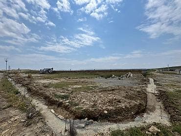 25 sot, Tikinti, Kupça (Çıxarış) — 3