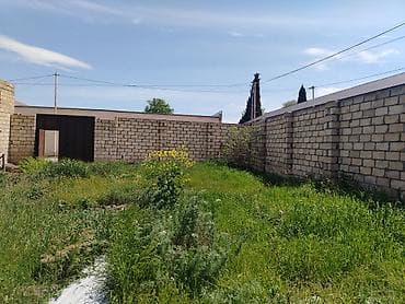 su bacok: Tikinti — 9