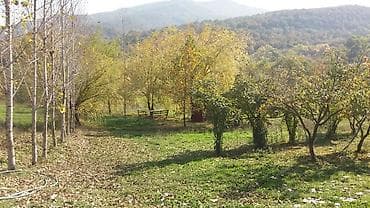 samaxi villa kiraye: 580 sot, Kənd təsərrüfatı, Makler, Kupça (Çıxarış) — 2