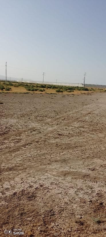 savalan torpag: 119 sot, Biznes üçün, Mülkiyyətçi, Kupça (Çıxarış) — 6