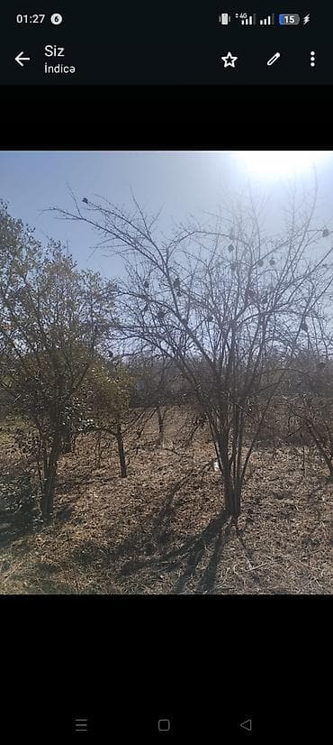 laçın şəhəri: 29sot - Tikinti: qalın çay daşı divarlar, möhkəm bünövrə - Plan — 3