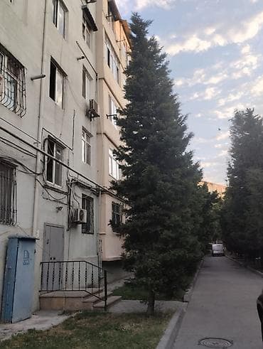 Баку, 3 комнаты, Вторичка, 45 м² — 1