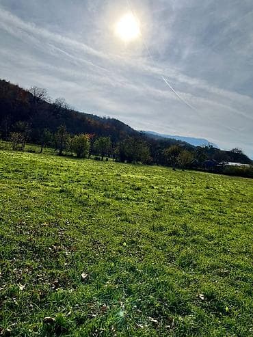 ucuz torpaq saheleri kreditle: 18 sot, Kənd təsərrüfatı, Kupça (Çıxarış) — 6