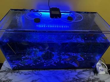 tap az it: Dördbucaq akvarium, Balıqlarla birlikdə, 85 l, Pulsuz çatdırılma — 2