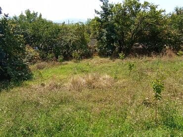 xacmazda torpaq satilir: 6 sot — 6