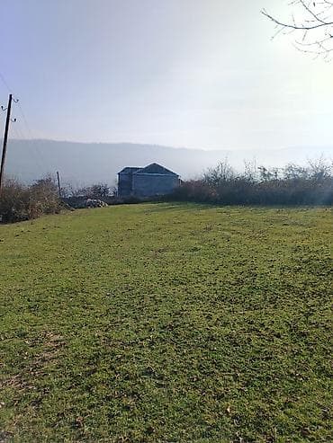 Otaqlar: 14 sot, Tikinti, Mülkiyyətçi, Kupça (Çıxarış) — 5