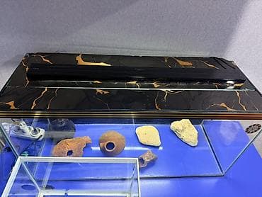 Heyvanlar: Dördbucaq akvarium, Boş, 96 l, Ünvandan götürmə, Pulsuz çatdırılma — 3