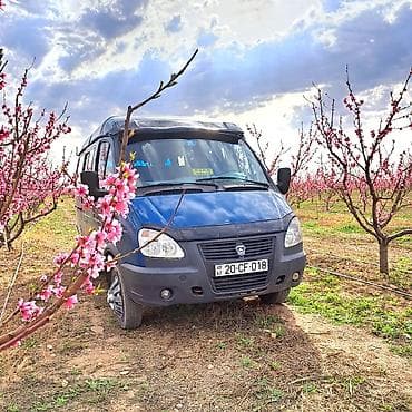 gence is elanları 2023: Sahe iwleri bag iwleri var kiwi qadin ferqi yoxdu hami gelib iwleye — 1