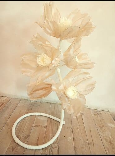 son zəng şəkilləri: Fiqur — 3