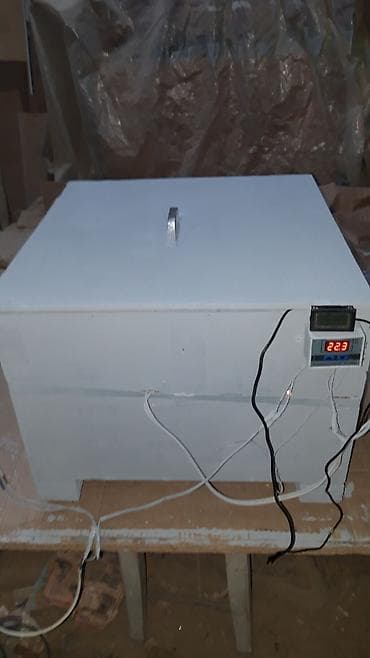 50 yumurtaliq tam iwley veziyete inkubator cixiw 98%