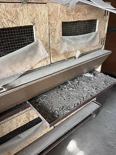 cuce fermasi: Quşçuluq avadanlıqları paketi 1056yumurtalıq inkibator xüsusi — 4