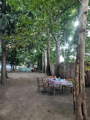 bağ evi novxanı: Nərgiz kafesine ofsiyant xanım teleb olnur maaş 30 azn +yimək çayavoy — 5