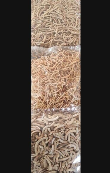 Duxovka Qazlı, rəng - Boz, Ayrıca dayanan