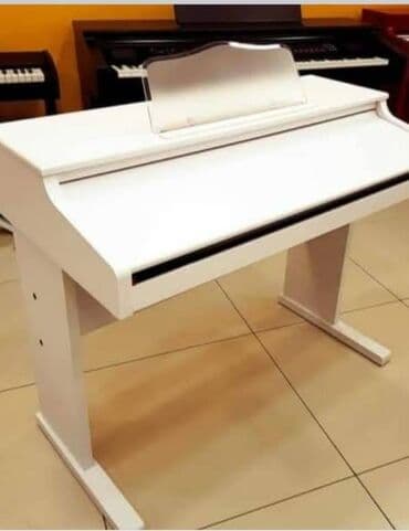 uşaq ucun qulaqlıq: Təzə.Upakofka. 61 klavişli, 5 oktavalı. 127 səs 100 ritmlər Çoxlu — 4