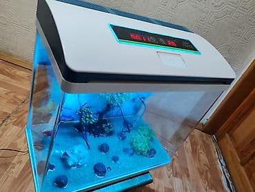 akvarim: Пустой, 45 л, Платная доставка — 5