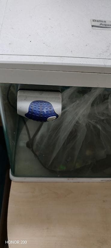 baliqlar: Akvaryum dəsti – tam komplekt Tərkib: - Şüşə akvaryum (üst qapaqla — 1