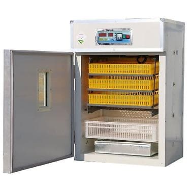 Inkubator inqibator inkibator inqubator Sənaye tipli inkubatorlar 1056 — 7