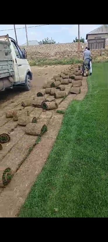 kafel metlax ustası: Qazon çatrlma qurasdrma torf gubresi agaclarin satişi gul cicek torpaq — 2