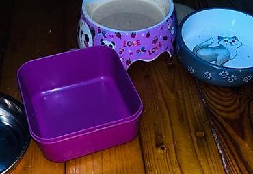 cau cau qiymeti: İt qçün dux dırnaq tutan 2ədəd tasma 4ədəd yemekqabı daşnma çanta — 5