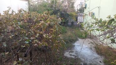 elite: 4 sot, Tikinti, Mülkiyyətçi, Bələdiyyə — 5