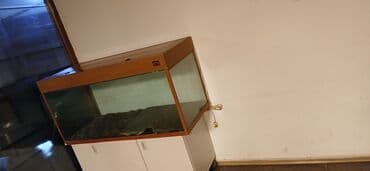 Balıqlar: Dördbucaq akvarium, Boş, 300 l — 5