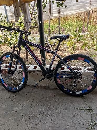 summa velosiped: Velocruz dağ velosipedi - Çərçivə: Alüminium tipli, sərt (hardtail) — 1
