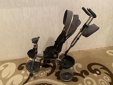 ucuz palatkalar: Uşaq üçün 3 təkərli velosiped-kolyaska - Rəng: boz (qızılı detal — 3