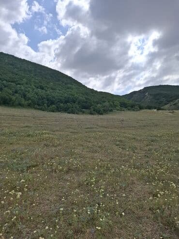 mingecevir torpaq satilir: 12 sot, Tikinti, Mülkiyyətçi, Kupça (Çıxarış) — 2