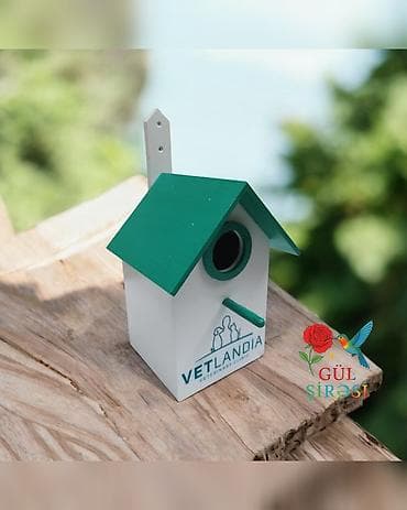 derzi qusu: Quş yuvası Sağlam və uzunömürlü ekoloji təmiz . Səliqəli və zövqlü — 3