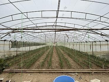 ev qap: İstixana kompleksi – dam örtüyü karkaslı, tam işlək əkin sahələri və — 9