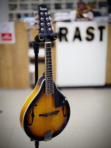 skripkalar: Mondalina Mandolin Mandarina Mondarina Mandalina Rast Musiqi — 1