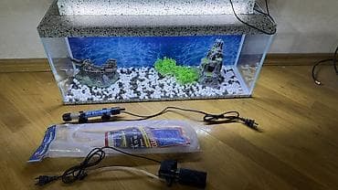 akvarium gəncə: Dördbucaq akvarium, Boş, 42 l, Ödənişli çatdırılma — 2