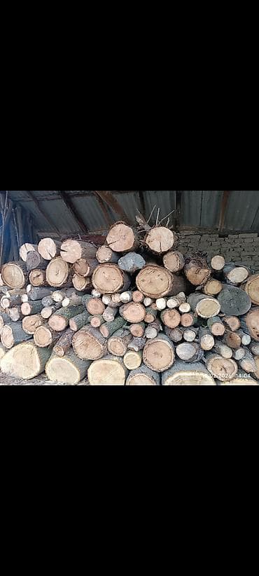 Boçkalar və çəlləklər: Hazır doğranmış qarışıq odun satılır. Qiymət razılaşma yolu ilə. Ciddi — 1