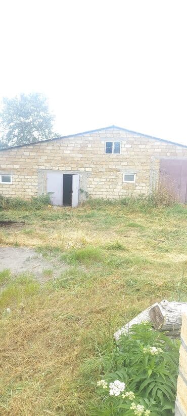 mağaza üçün yer icarəyə götürürəm: Ünvan: Qusar şəhəri Ləyər kəndi (ləzgi ləyər) 1hk 68 sot bağ yeri — 2