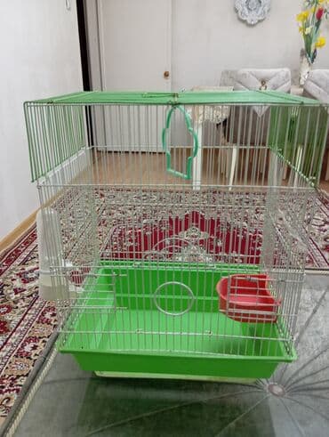 Xaltalar, qayışlar və tasmalar: Salam göründüyü kimidi real alıcıya endirim olajax Quş qəfəsi və — 2