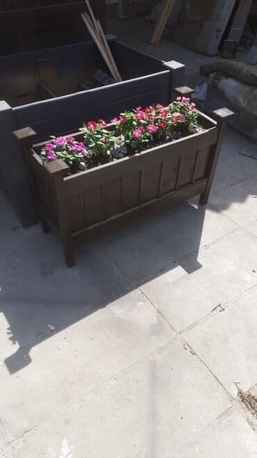 jasmin gülü: Dibceklər #biçeklər hər ölcüdə gülə #gül yeşikləri 1il rəsmi — 1