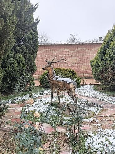 Fiqur, Metal lalafo.az -da Fiqur, Metal