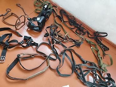 binə atciliq: Atçılıq avadanlıqları dəsti Təsvir: - İplər və yüyənlər: Dəri və — 2