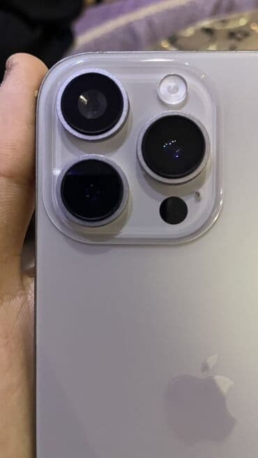 15 про макс: IPhone 16 Pro Max, 256 ГБ, Серебристый, Отпечаток пальца, Беспроводная зарядка, Face ID — 5