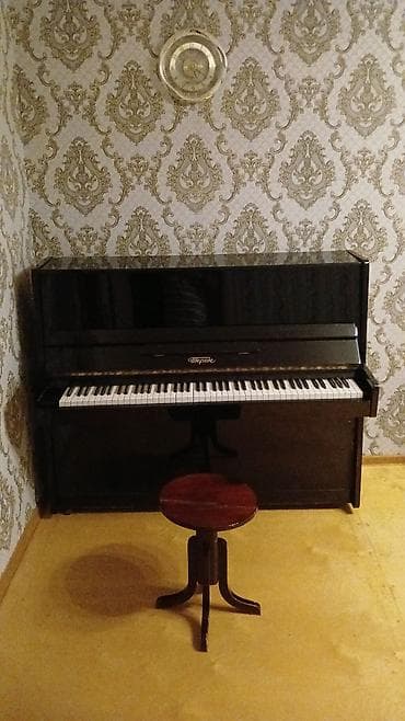 pianıno: Köklənməyə ehtiyyacı yoxdur ! — 1