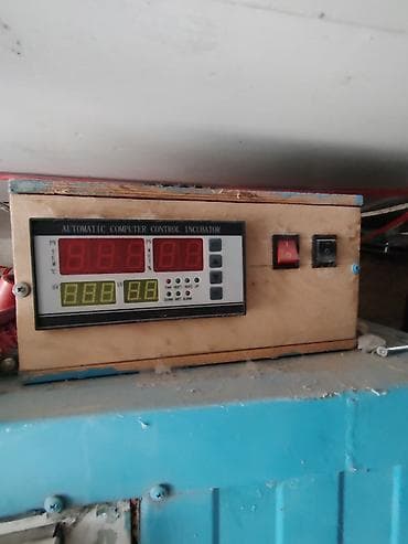 İnkubatorlar: Avtomatik inkubator 500yumurtalıq cixisina qarantia verilir. yuksek — 1