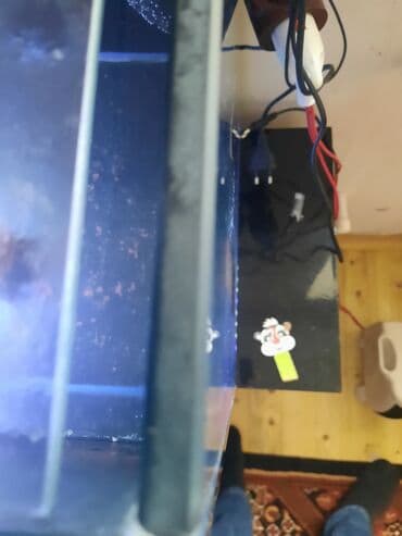 çöl qazı haqqında məlumat: Şüşə akvarium komplekti - Ölçü: təxmini uzunluq 1.10 hundurluyu 50 — 3