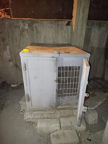 mayali yumurta satisi: Göyərçin hini — 3