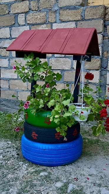 etotu bitkisi: Bağ üçün dekorativ “quyu” formalı gülyeti/kompozisiya - Material — 2