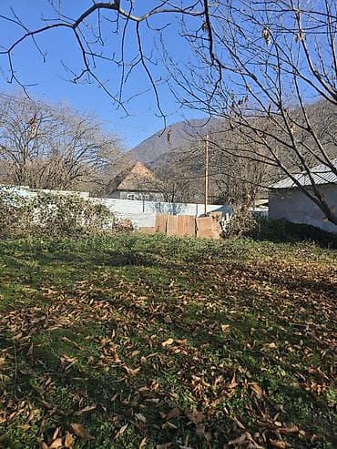 yari tikili: 6 sot — 1