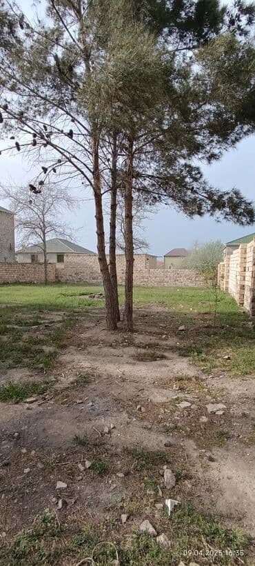 sumqayıt kirayə evlər 2023: 6 sot, Tikinti, Mülkiyyətçi, Kupça (Çıxarış) — 1