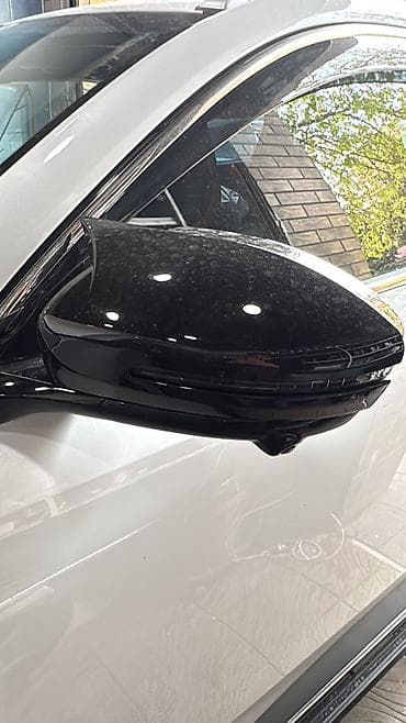 Changan: Changan yarasa qapagi — 3
